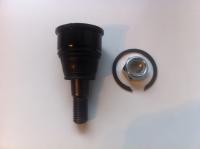 ELSŐ ALSÓ GÖMBFEJ