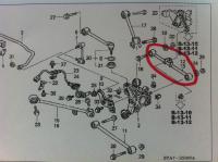 HÁTSÓ KERESZTLENGŐKAR